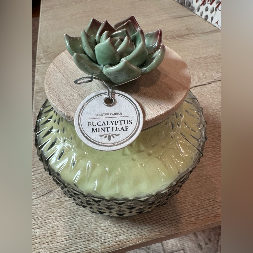 Eucalyptus Mint Leaf Succulent Candle